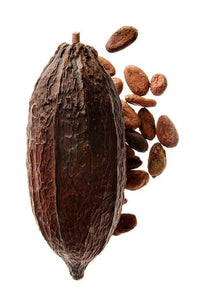 Cacao bean decoration